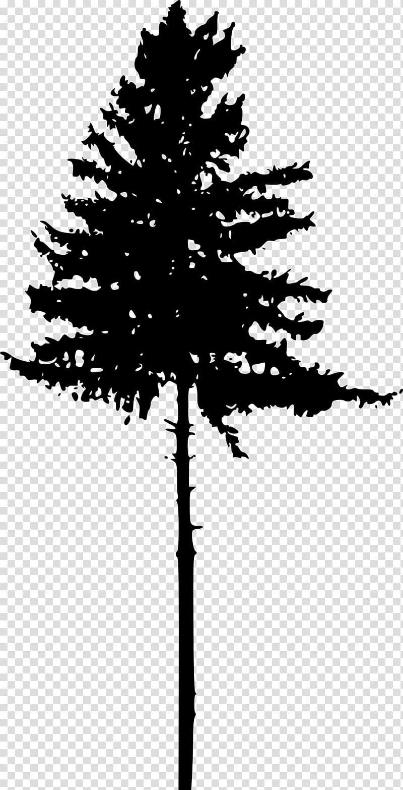 silhouette of tree illustration, Tree Pine Silhouette , pine tree transparent background PNG clipart