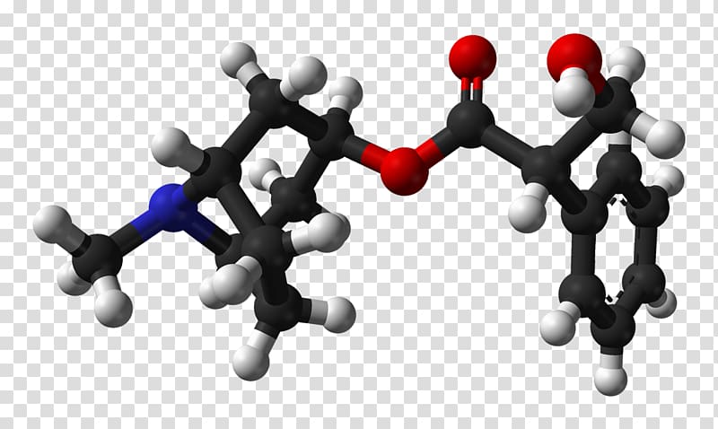 Atropine Nerve agent Chemistry Pharmaceutical drug Belladonna, others transparent background PNG clipart