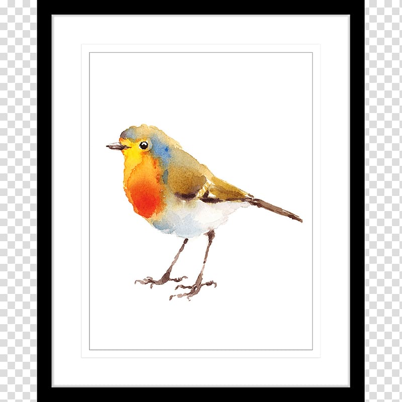 European robin Watercolor painting Drawing Art, bird Watercolor transparent background PNG clipart