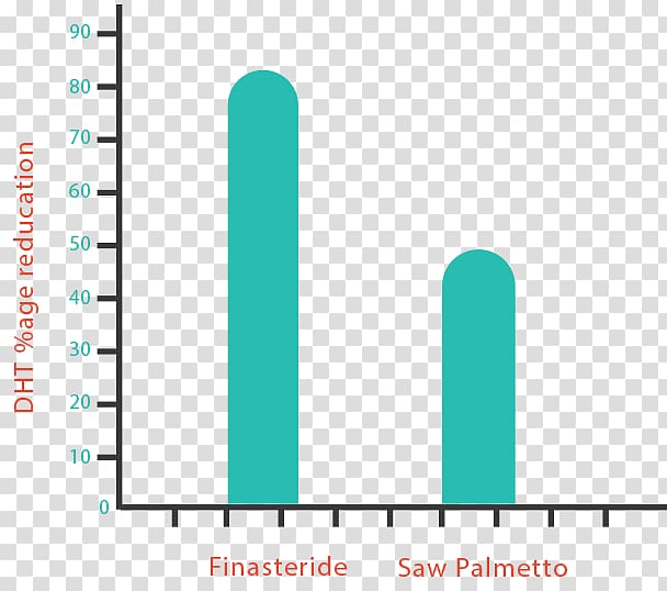 Finasteride Adverse effect Hair loss Saw palmetto extract Side effect, Saw Palmetto transparent background PNG clipart