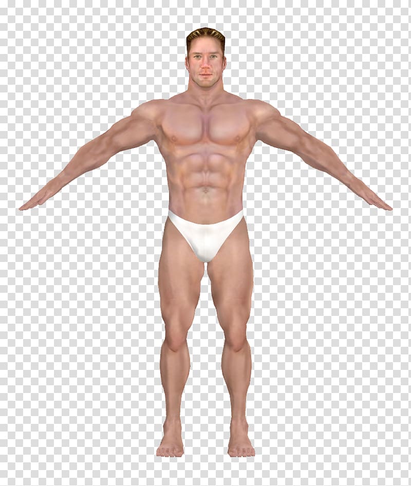 Muscle transparent background PNG clipart