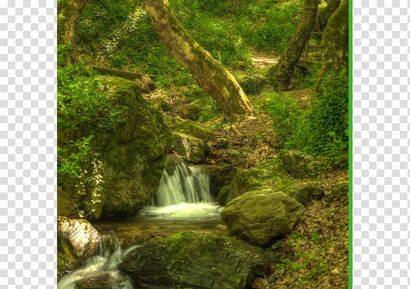 Pelion Volos Pagasetic Gulf Waterfall Karavos Hotel, forest Path transparent background PNG clipart