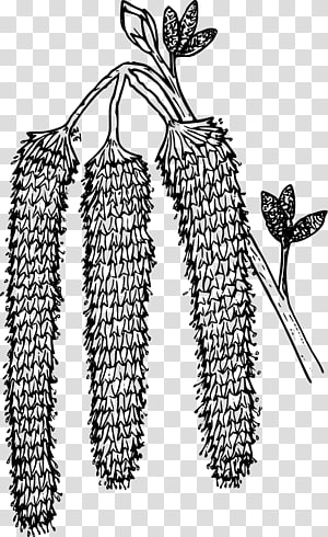 Computer Icons , others transparent background PNG clipart thumbnail