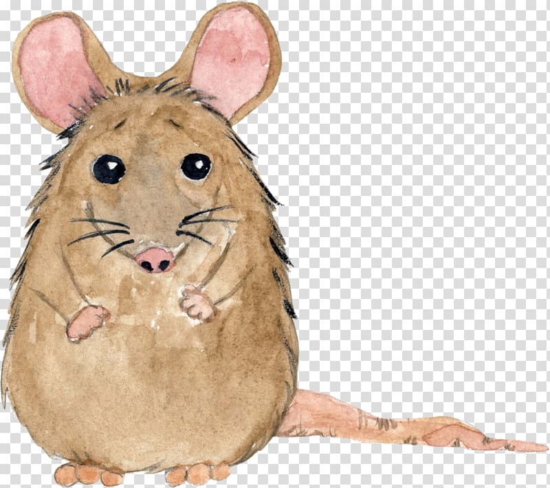 Computer mouse Desktop High-definition television , Computer Mouse transparent background PNG clipart