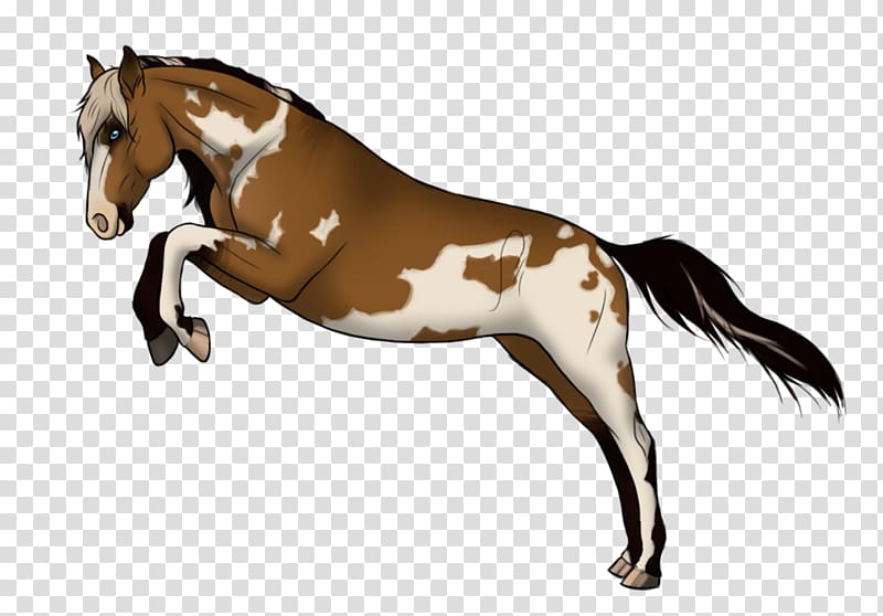 Mustang Foal Stallion Colt Mare, pearl harbour transparent background PNG clipart