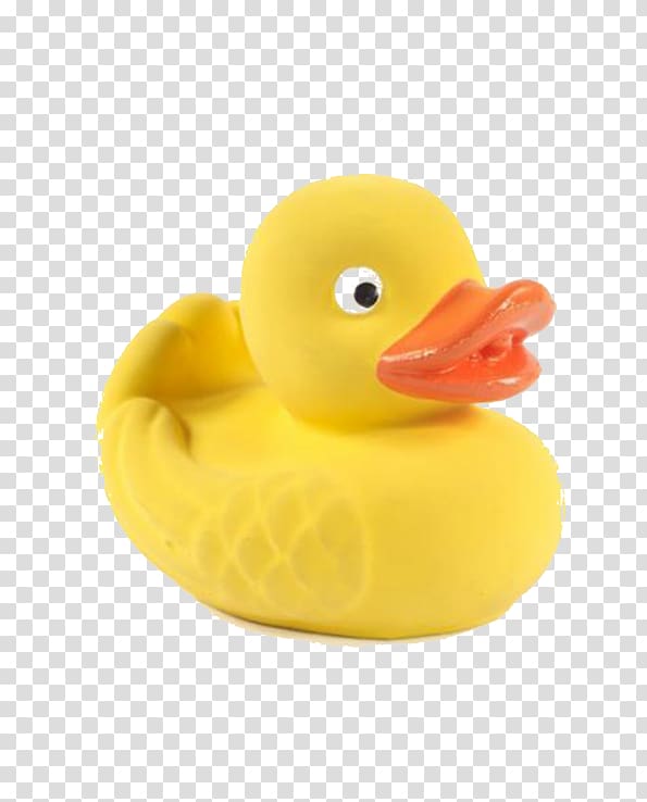 Rubber duck Material, duck transparent background PNG clipart