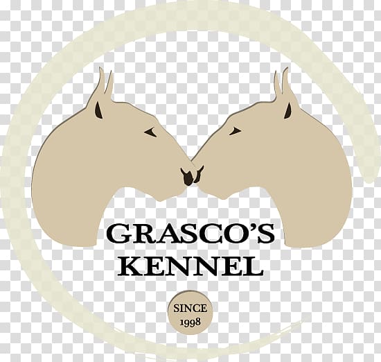 Miniature Bull Terrier Conformation show Grasco's Kennel European Dog Show, norfolk terrier transparent background PNG clipart