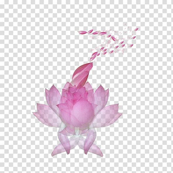 , Women like flowers transparent background PNG clipart