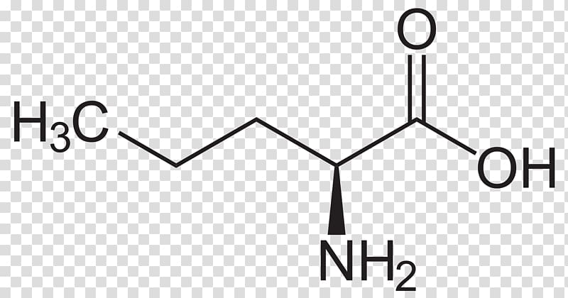 Methionine Isoleucine Essential amino acid, others transparent background PNG clipart