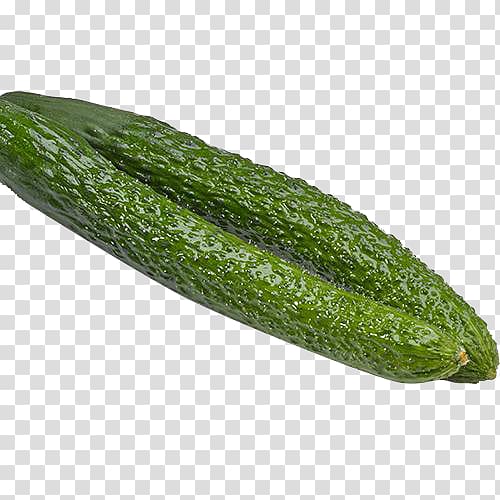 Pickled cucumber Vegetable Armenian cucumber, Vegetable cucumber transparent background PNG clipart
