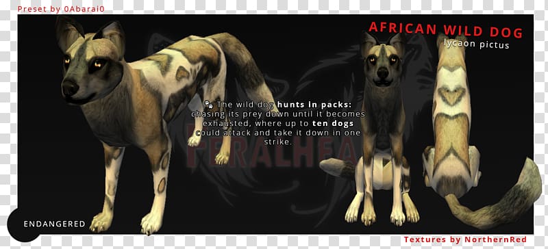Whippet African wild dog Feral Pit bull German Shepherd, Wild Dog transparent background PNG clipart