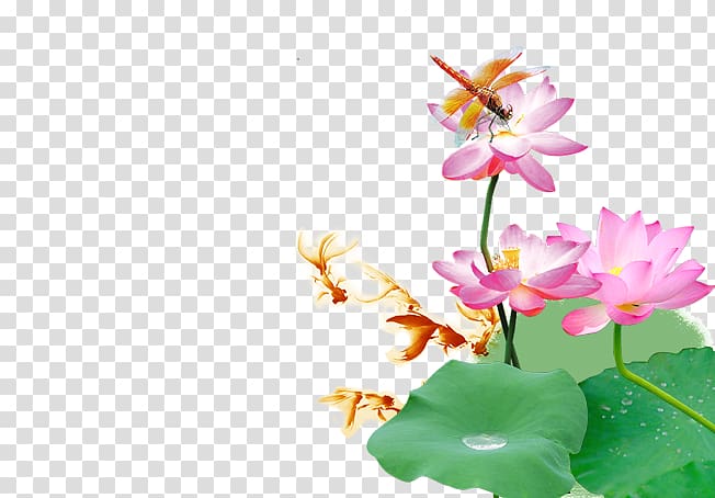 Dragonfly Fundal, Lotus Dragonfly Goldfish transparent background PNG clipart