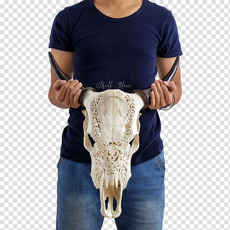 XL Horns Skull Cattle Neck, ganesha transparent background PNG clipart