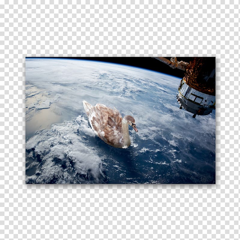 International Space Station Space Shuttle program Earth NASA Space debris, earth transparent background PNG clipart
