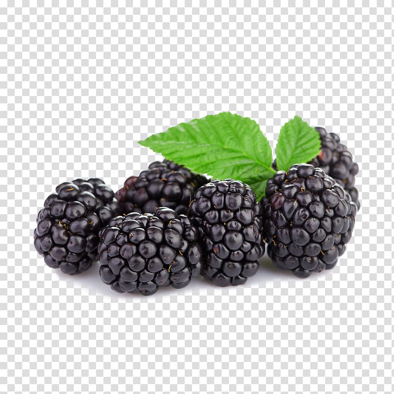Tayberry Boysenberry Raspberry Blackberry, berries transparent background PNG clipart