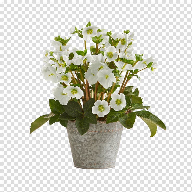 Cut flowers Flower bouquet Blume Portable Network Graphics, flower transparent background PNG clipart
