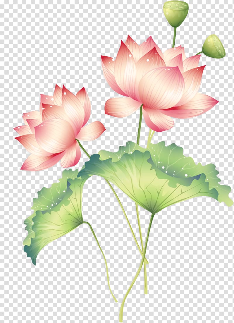 Sichuan Falun Gong Chinese New Year Happiness Loving-kindness, Traditional lotus transparent background PNG clipart