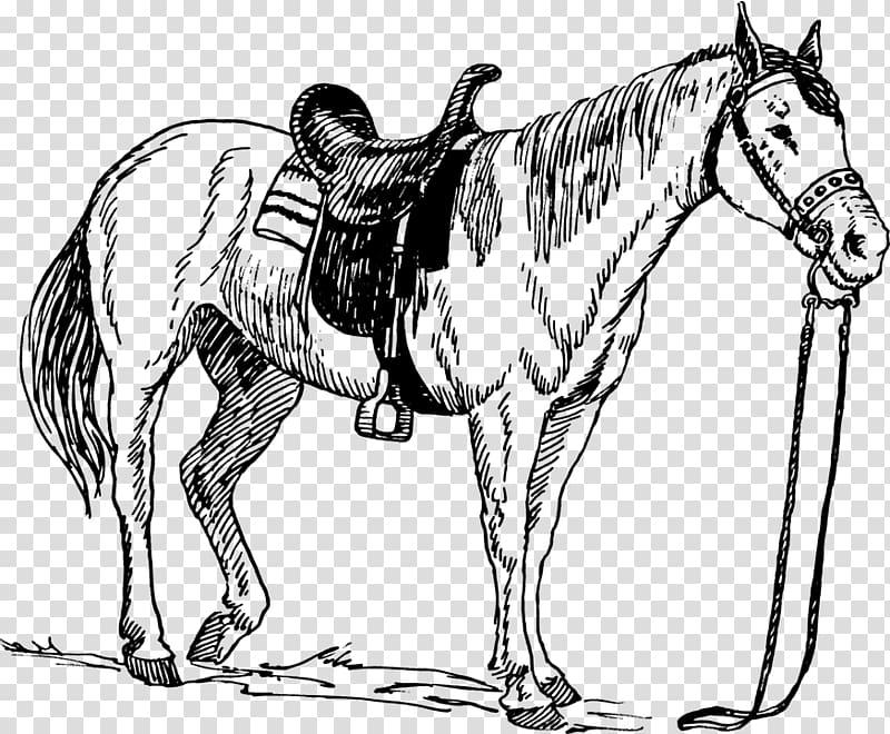 Horse Saddle Drawing , horse transparent background PNG clipart