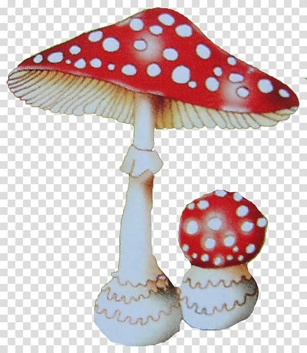 Amanita Fungus Poisonous mushroom , мухомор transparent background PNG clipart