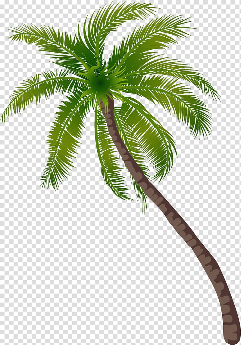 beach coconut tree pattern transparent background PNG clipart