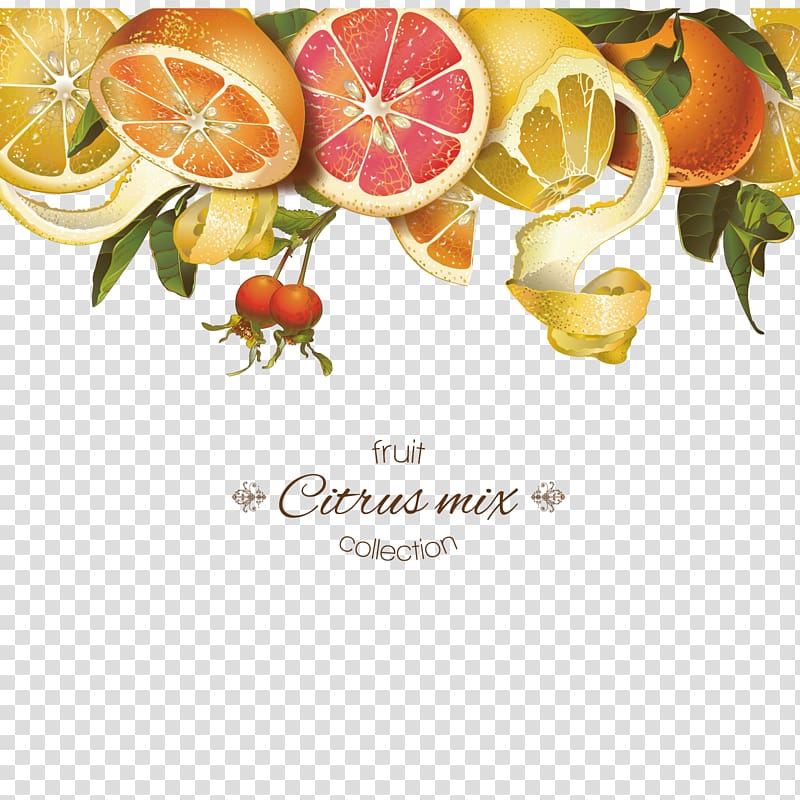 fruit citrus mix collection, Juice Lemon Grapefruit Tangerine, Cosmetics, skin care products, SPA beauty salon transparent background PNG clipart