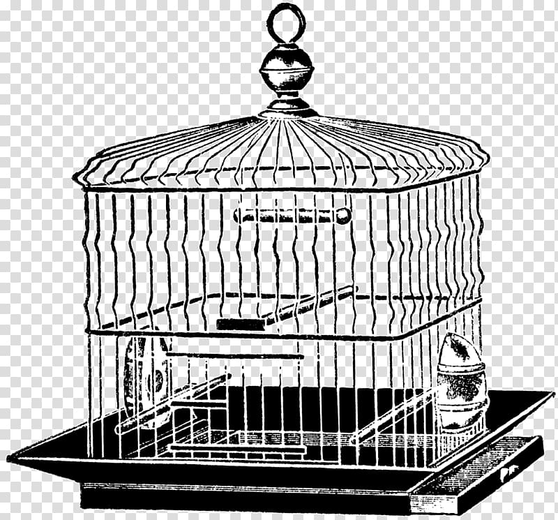 Cage Product design Basket Black, rusty cage transparent background PNG clipart