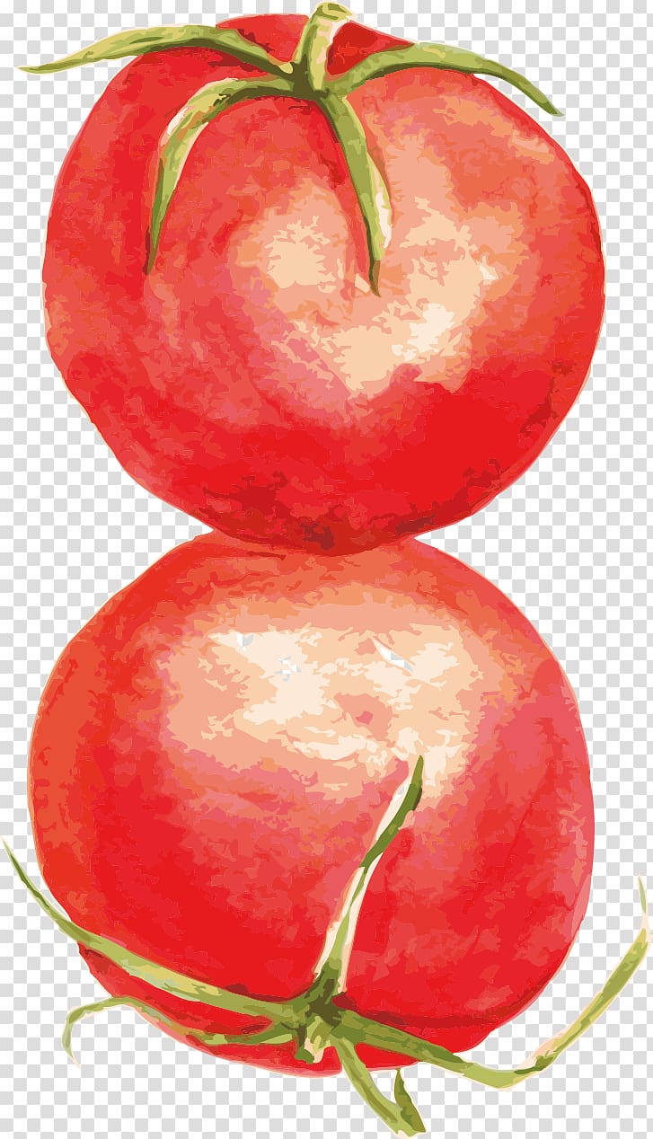 Tomato Food Computer file, Tomato transparent background PNG clipart