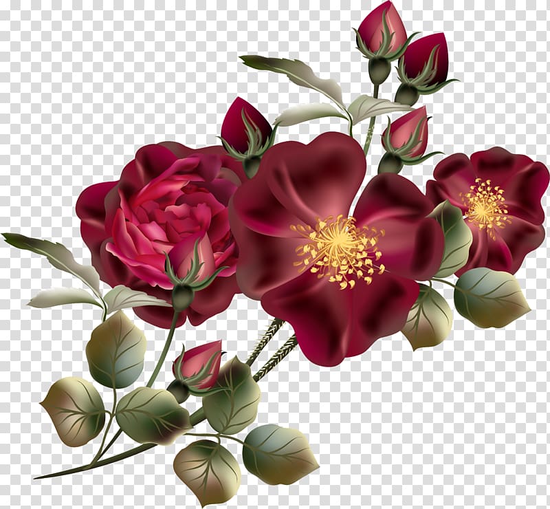 Flower Floral design Rose , flower transparent background PNG clipart