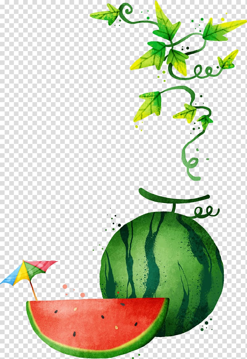Watermelon , Watercolor painted watermelon melon vine transparent background PNG clipart