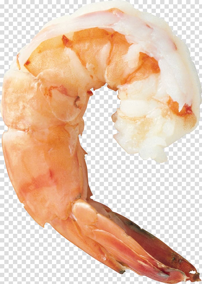 Shrimp and prawn as food, Shrimp transparent background PNG clipart
