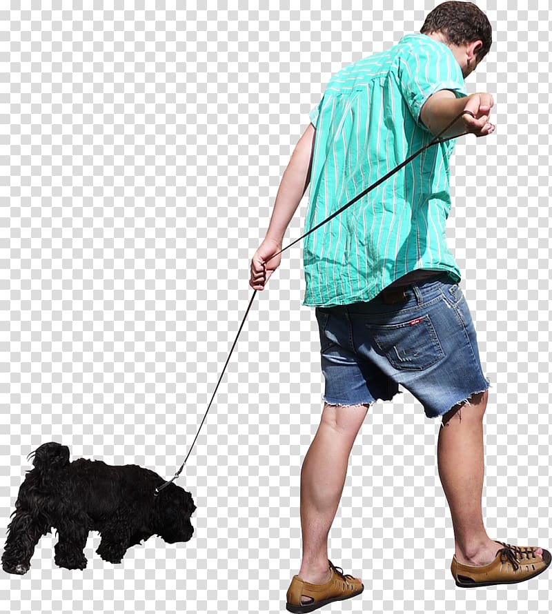 man walking dog, Dog walking Dog walking , Free People transparent background PNG clipart