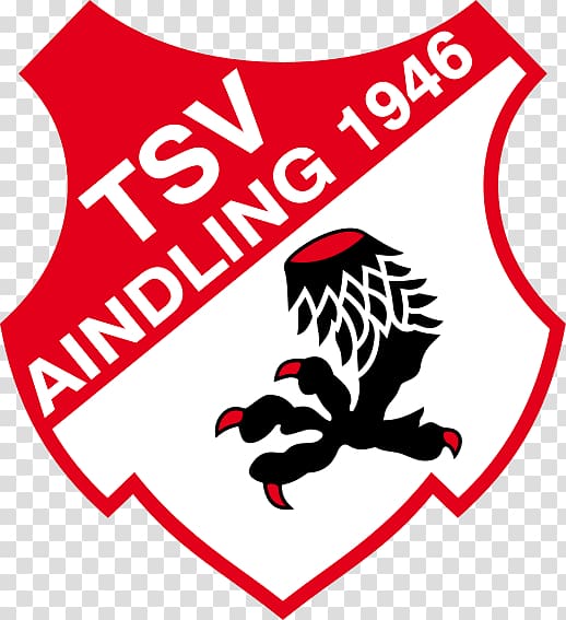 TSV Aindling Sports Association 1. FC Nuremberg Football, football transparent background PNG clipart