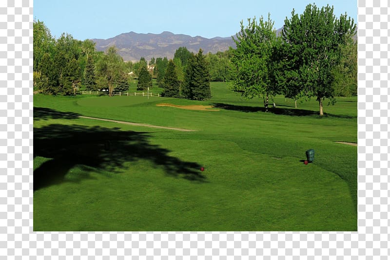 Indian Tree Golf Club Golf course Golf Clubs The US Open (Golf) Pitch and putt, Golf transparent background PNG clipart