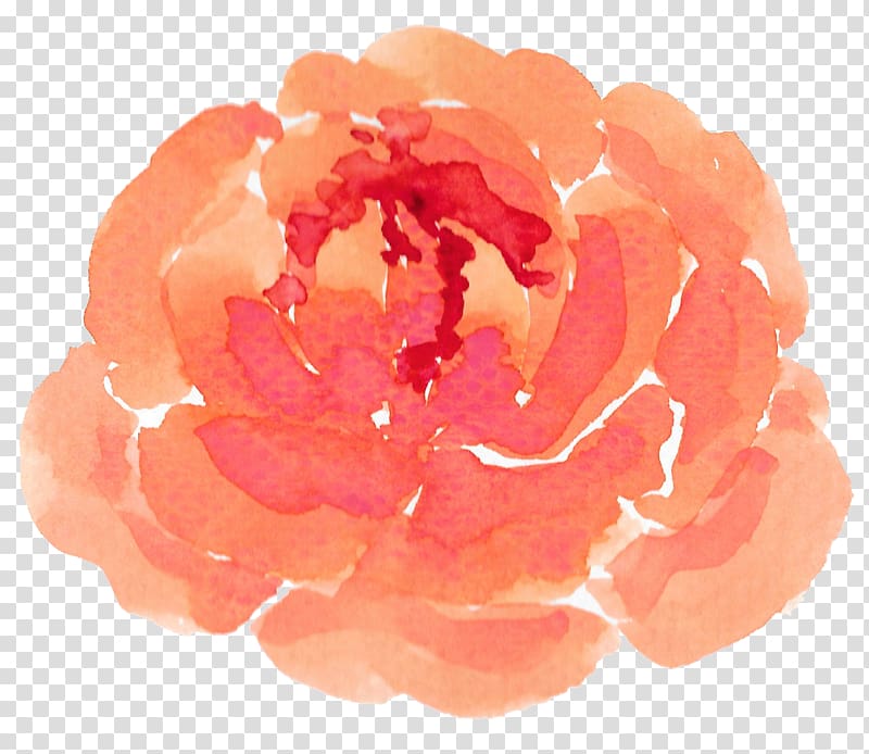 orange and red rose flower art, Garden roses Watercolor: Flowers, Orange flowers transparent background PNG clipart