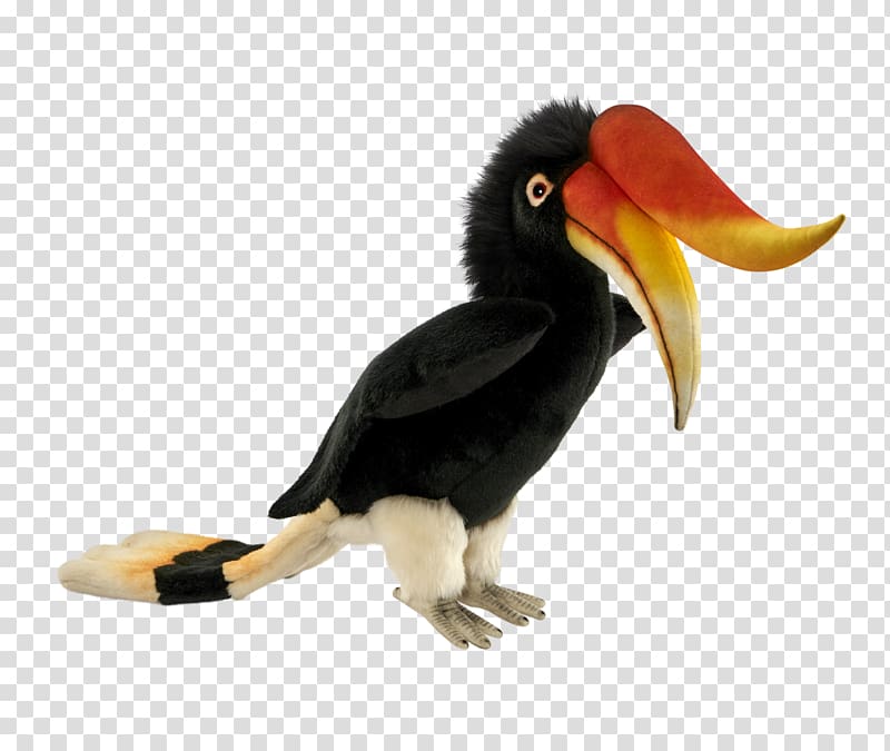 Toucan Fauna Beak Hornbill, others transparent background PNG clipart