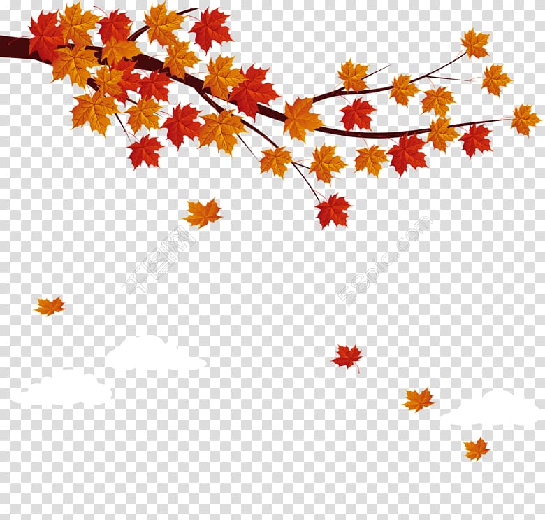 orange and red maple leaves illustration, Portable Network Graphics graphics Autumn , autumn transparent background PNG clipart