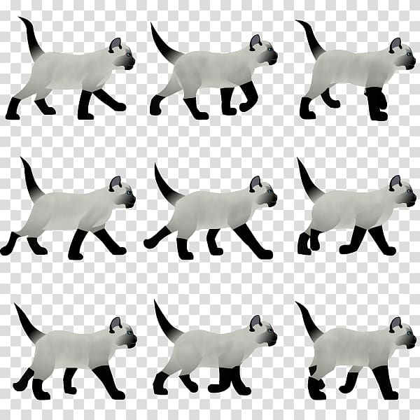 Cat Animated film 2D computer graphics Flash animation, Cat transparent background PNG clipart