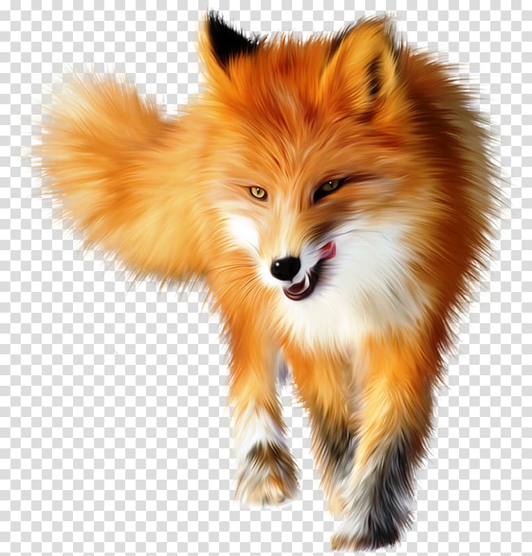 yellow fox transparent background PNG clipart