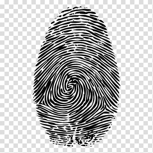 Fingerprint, finger print transparent background PNG clipart