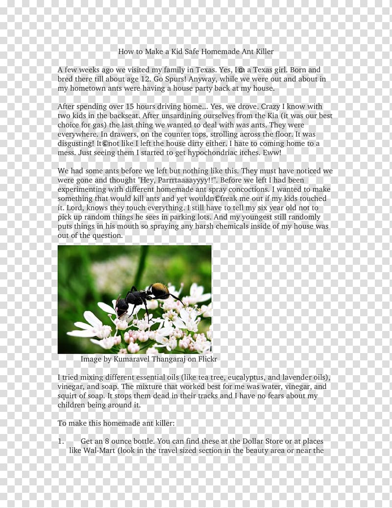 Plant Brochure Feudalism Dream Font, anteater transparent background PNG clipart