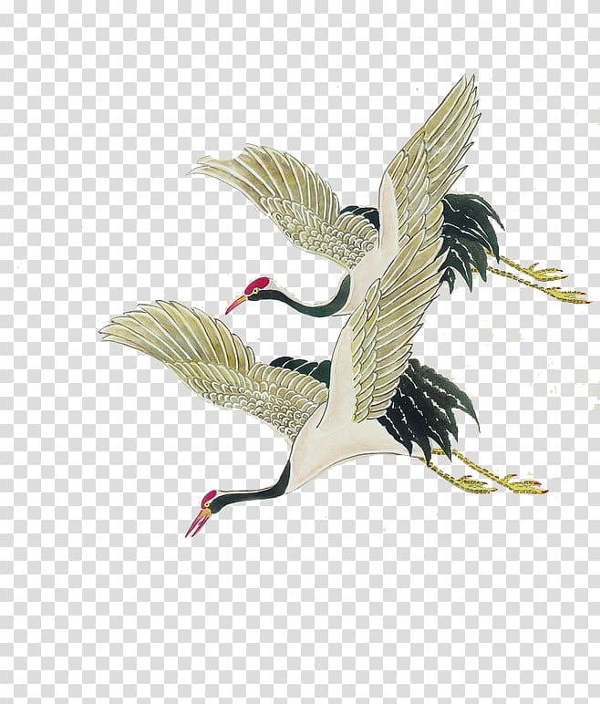 Bird Red-crowned crane Painting Illustration, Crane transparent background PNG clipart