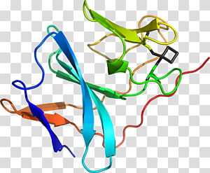 Line Point , line transparent background PNG clipart thumbnail