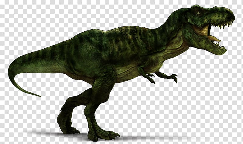 Velociraptor Spinosaurus Tyrannosaurus rex Carnotaurus Triceratops, t rex transparent background PNG clipart