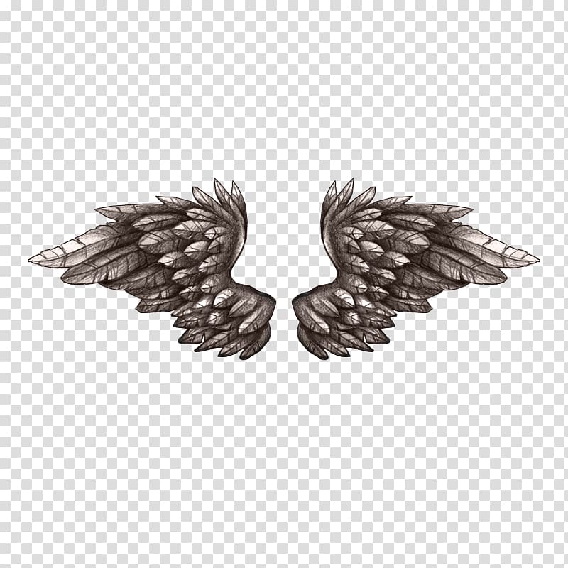 Animation, Related feather wings transparent background PNG clipart