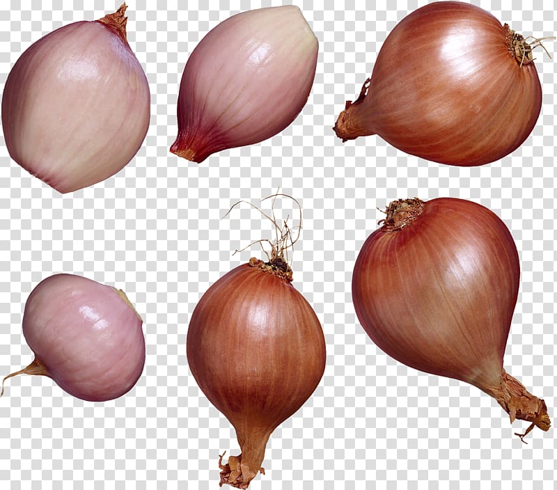 Shallot Garlic Vegetable Allium chinense Flavor, garlic transparent background PNG clipart