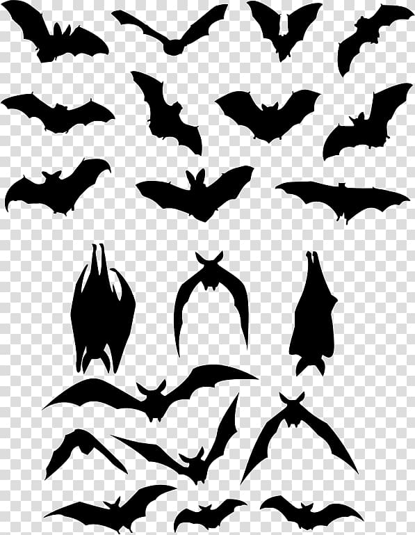 Bat Silhouette, bat transparent background PNG clipart
