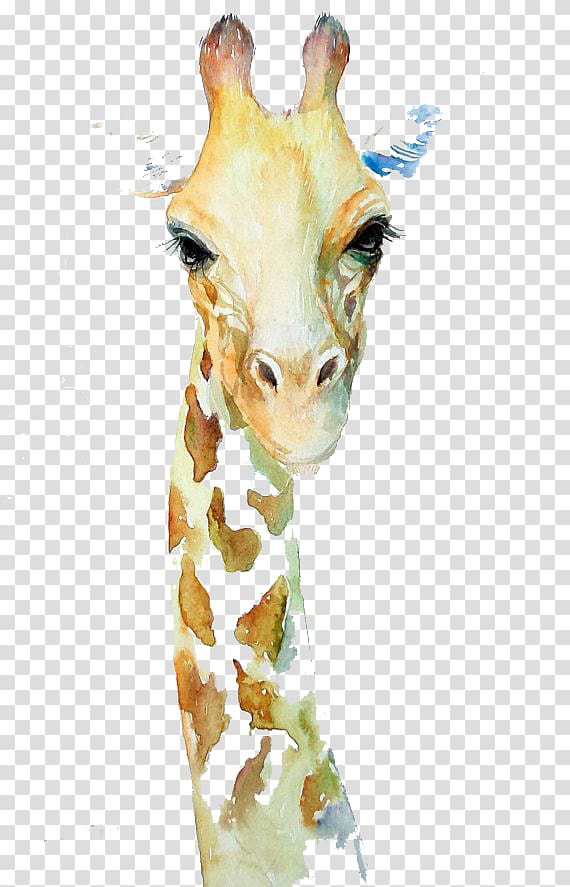 Northern giraffe Watercolor painting Art Drawing, Cute giraffe transparent background PNG clipart