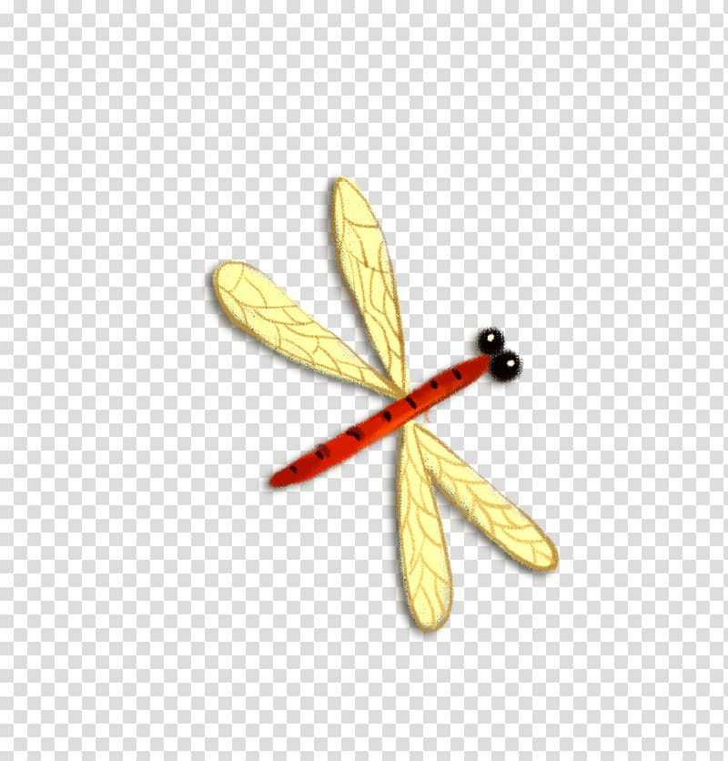 Cartoon , Cartoon Dragonfly transparent background PNG clipart
