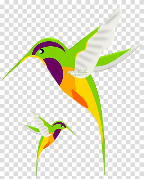 Hummingbird Drawing Portable Network Graphics, hummingbird paint transparent background PNG clipart