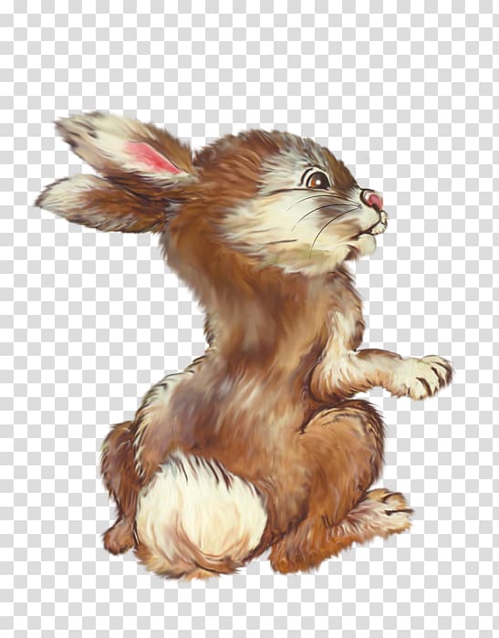 Rabbit , rabbit transparent background PNG clipart Rabbit , rabbit transparent background PNG clipart